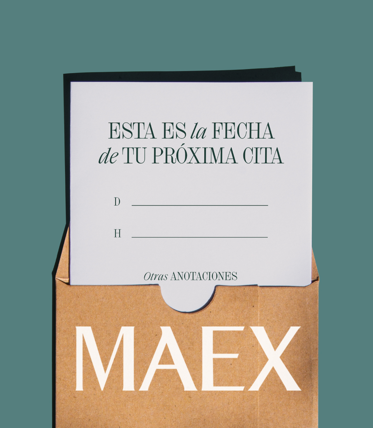 Maex_Caso-26